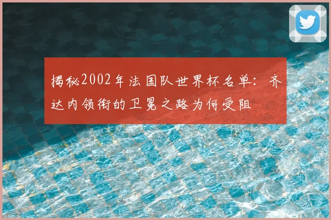 揭秘2002年法国队世界杯名单：齐达内领衔的卫冕之路为何受阻