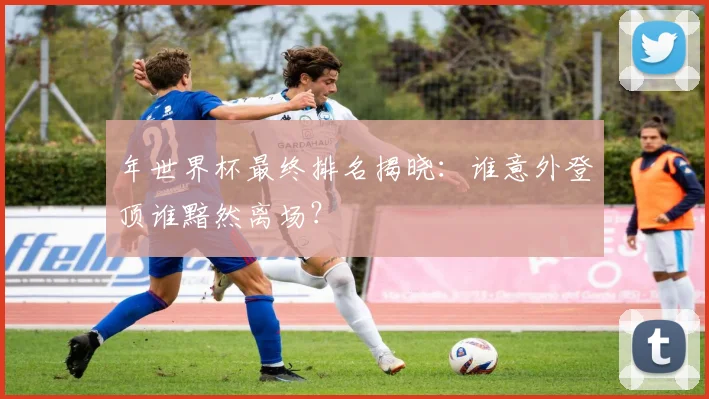 年世界杯最终排名揭晓：谁意外登顶谁黯然离场？