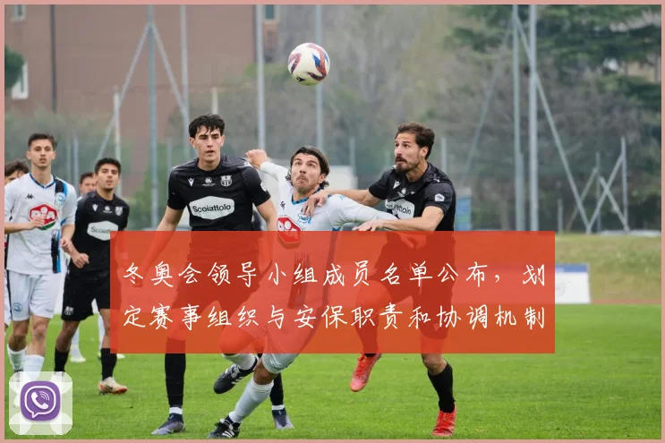 冬奥会领导小组成员名单公布，划定赛事组织与安保职责和协调机制