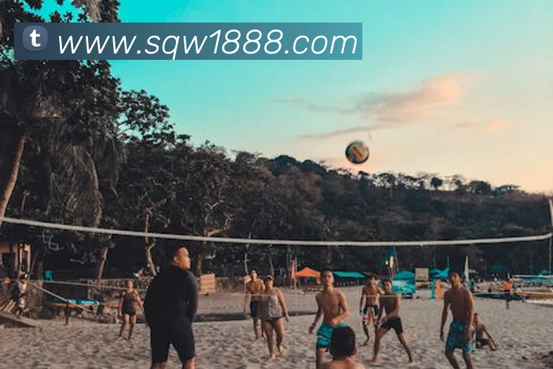 App Interface Preview